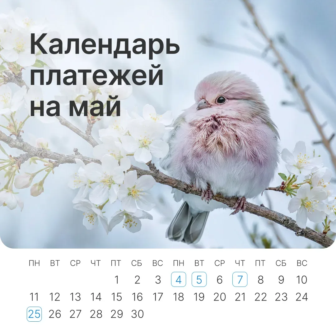 Май — месяц, когда так легко забыть о дедлайнах среди выходных и шашлыков. Мы позаботились, чтобы эт