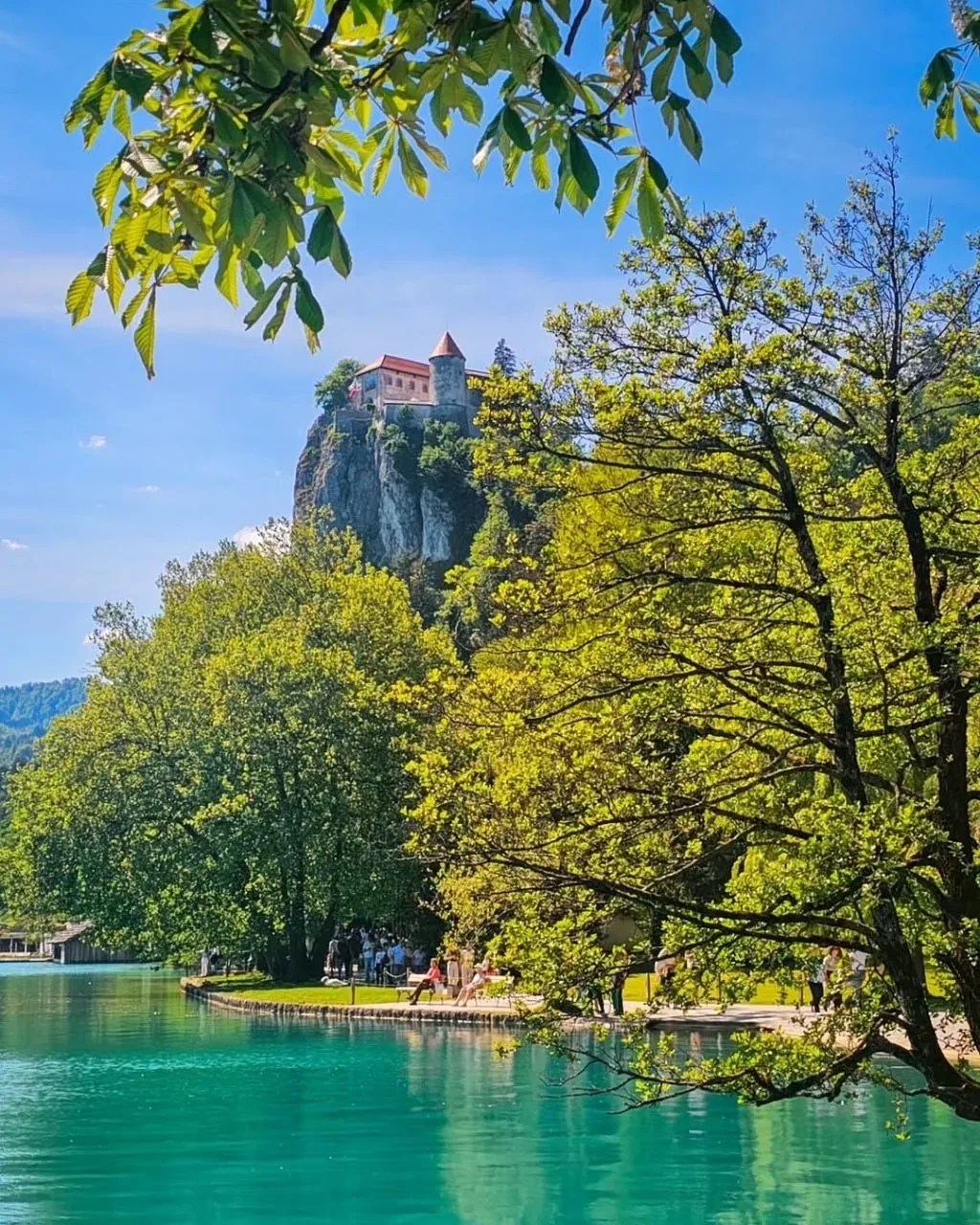 Озеро Блед в Словении — это ожившая сказка у подножия Альп. Изумрудная вода, остров с часовней и зам