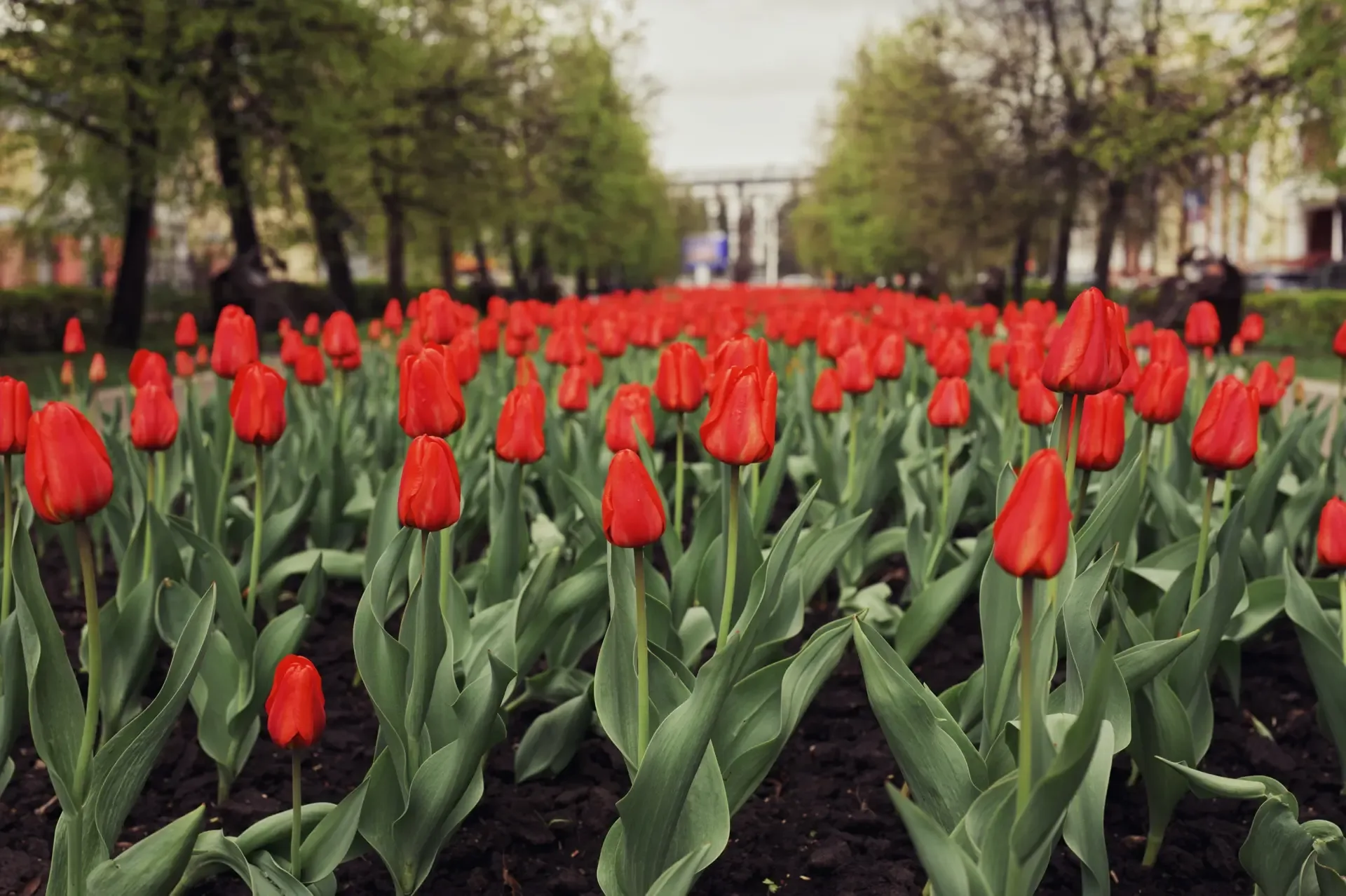 🌷КЕМЕРОВО - СПАСИБО! 🙏   Вот и прошел еще один сибирский музыкальный вечер. Благодарю всех, кто сего