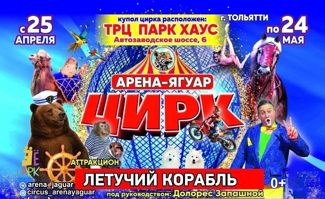 🎪 По 24 мая билеты в цирк для членов профсоюза и их семей со скидкой 200 рублей по дисконтной карте 
