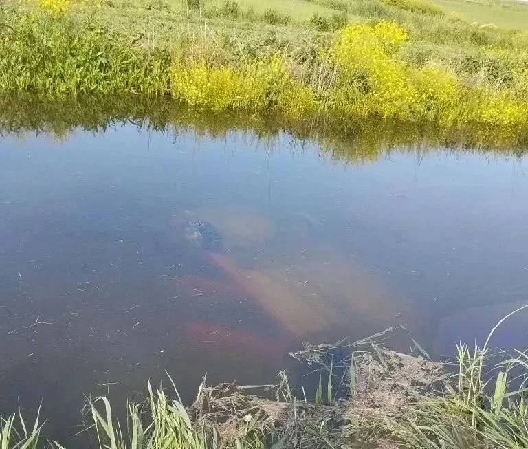 🚨 Легковушка утонула вместе с женщиной в Славянском районе  В Славянском районе автомобиль съехал в 