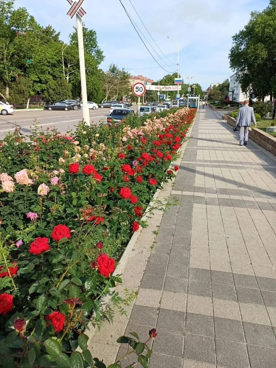 🌹 Сегодня, оказывается, Всемирный день роз.   В Темрюкском районе очень любят розы. Они у нас цветут