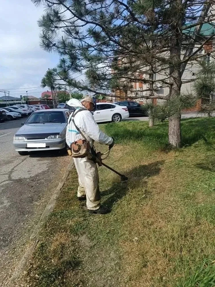 Сотрудники муниципального бюджетного учреждения Темрюкского городского поселения Темрюкского района 