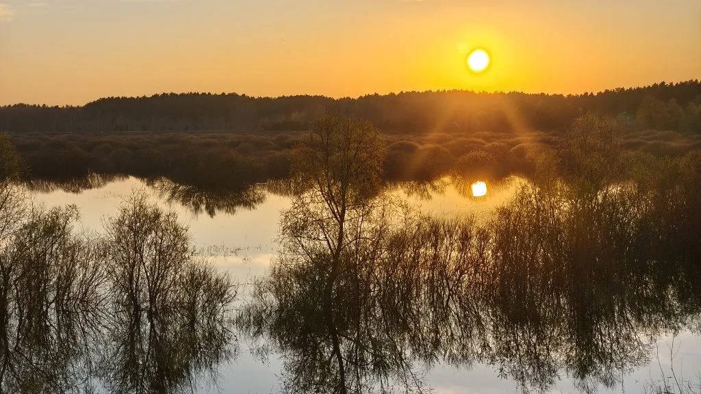 Тихий солнечный вечер ☀️☀️☀️ Вид с Памятнинской дамбы.