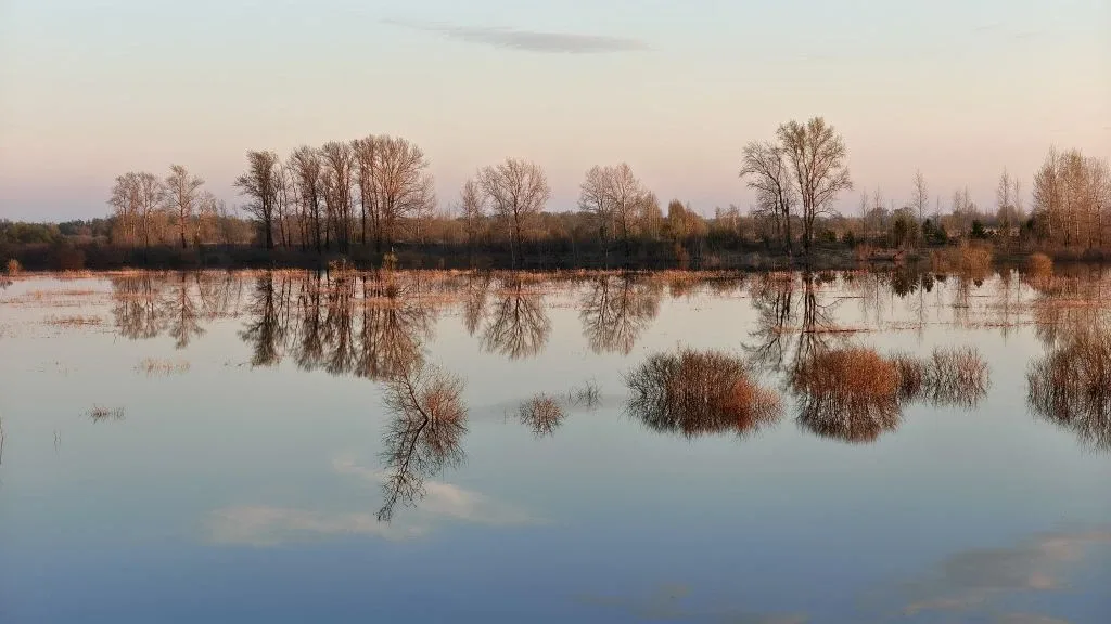 Тихий солнечный вечер ☀️☀️☀️ Вид с Памятнинской дамбы.