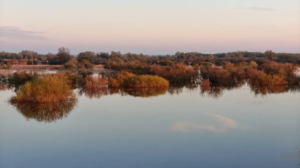 Тихий солнечный вечер ☀️☀️☀️ Вид с Памятнинской дамбы.