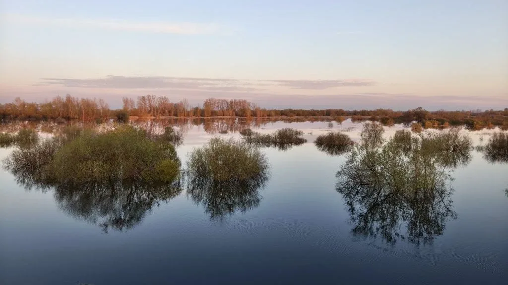 Тихий солнечный вечер ☀️☀️☀️ Вид с Памятнинской дамбы.