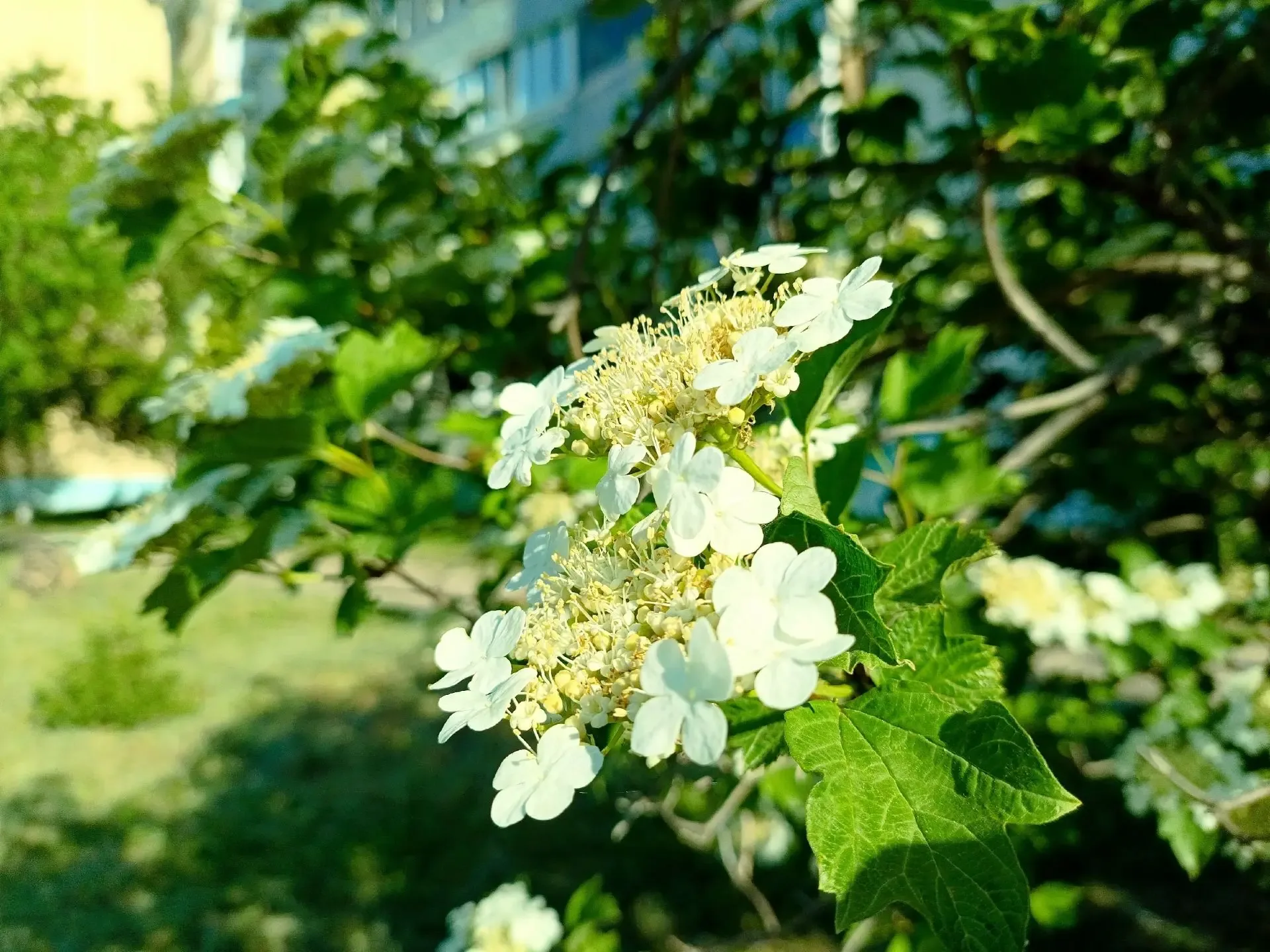 Доброе утро, город! ✨  Сегодня день, когда неделя выдыхает и улыбается.   Пусть эта пятница пройдёт 