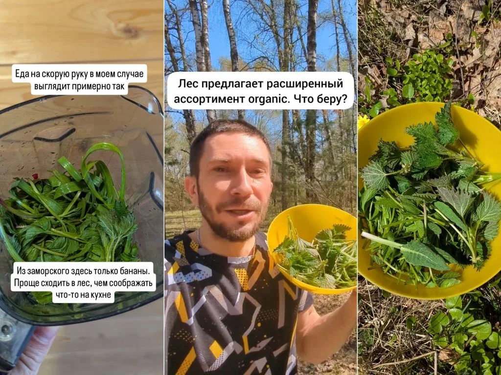 Как я добываю еду  Я пока не знаю, что с этим делать, но мои дни буквально набиты под завязку какими