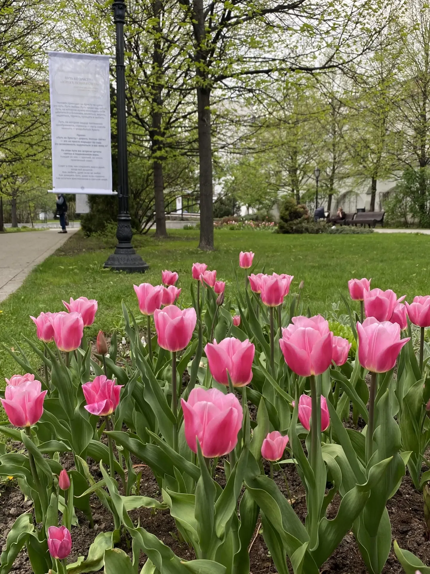 В саду все зацвело 🌷  Началась самая яркая и ароматная пора, в которую наш сад превращается в райски