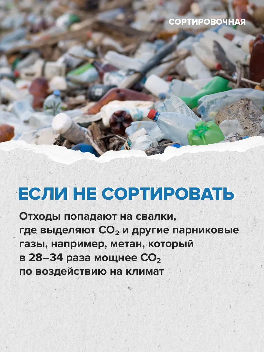 🌍 Сегодня День климата — отличный повод вспомнить, что «экологично» — это не только про заводские тр