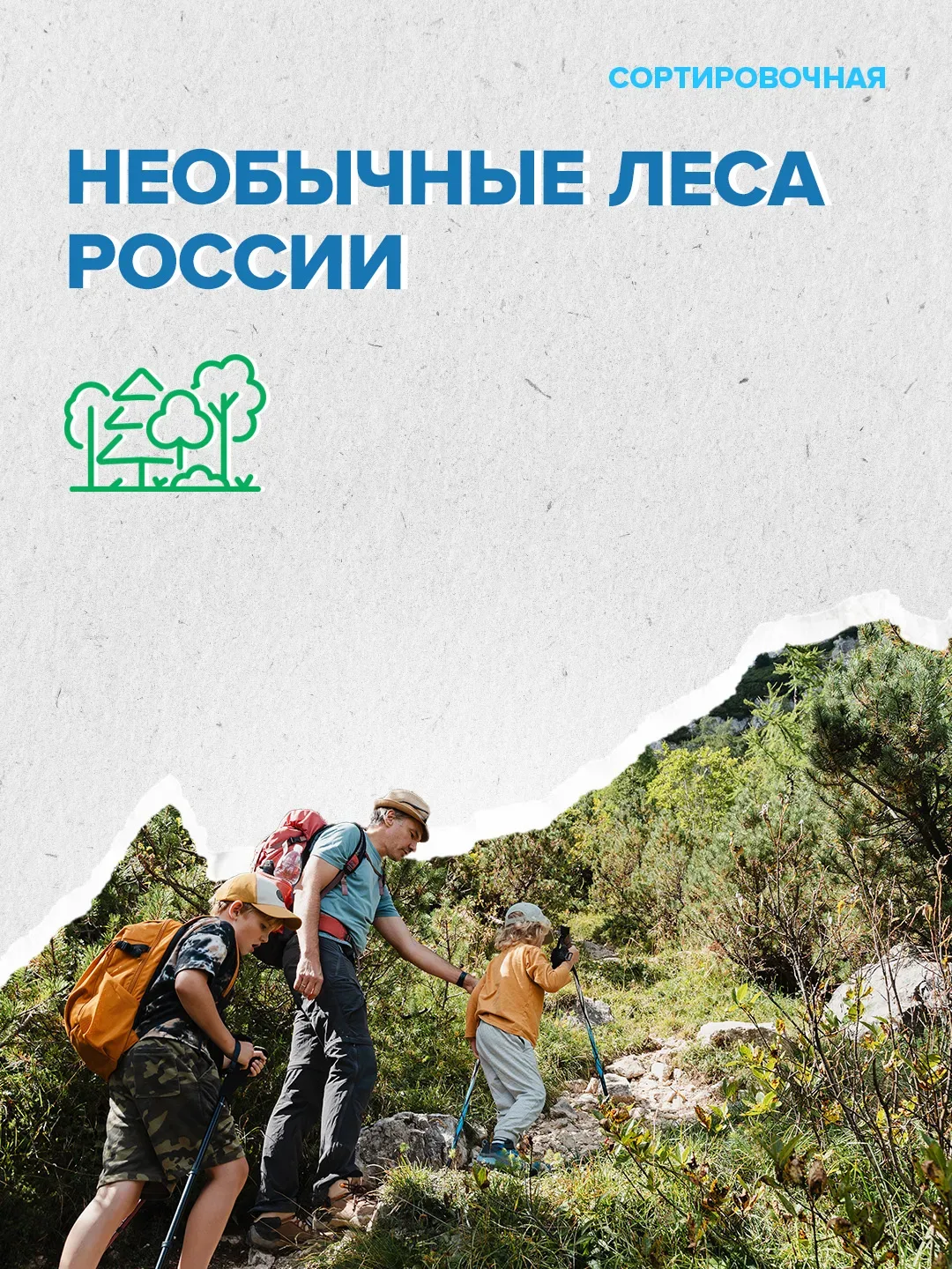 🌲🌳 В стране появляется больше лесов, чем теряется  Об этом заявил первый вице-спикер Совета Федераци
