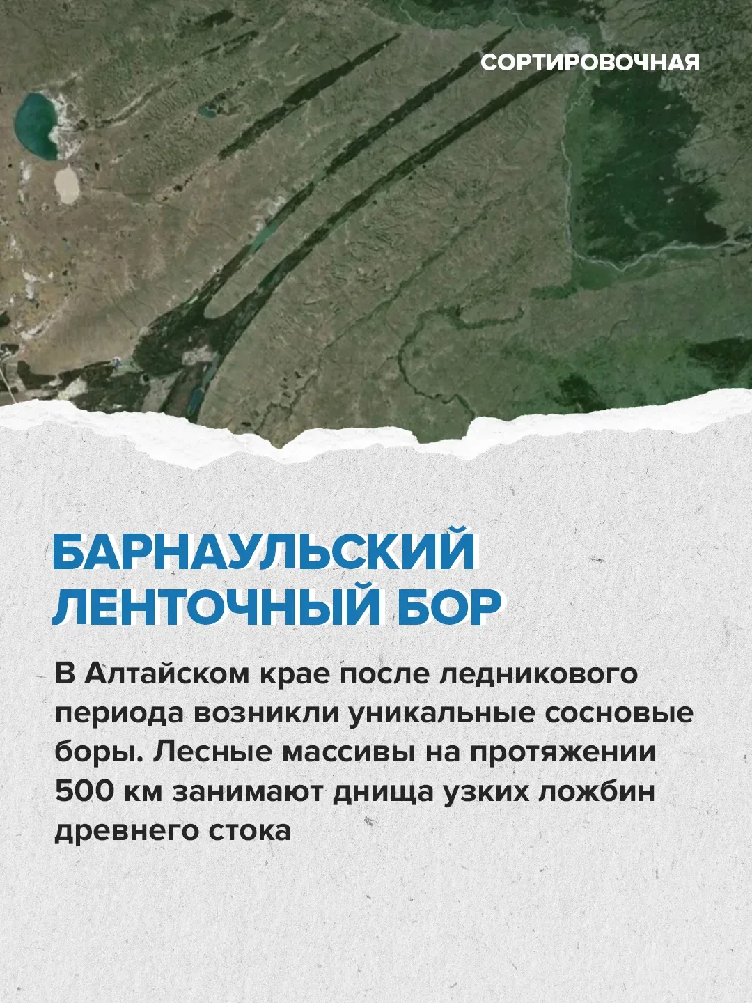 🌲🌳 В стране появляется больше лесов, чем теряется  Об этом заявил первый вице-спикер Совета Федераци