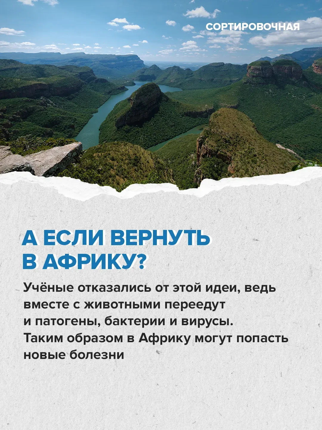 🥺 Мир переживает за судьбу бегемотов на бывшей вилле Пабло Эскобара   Активисты выступают против уни