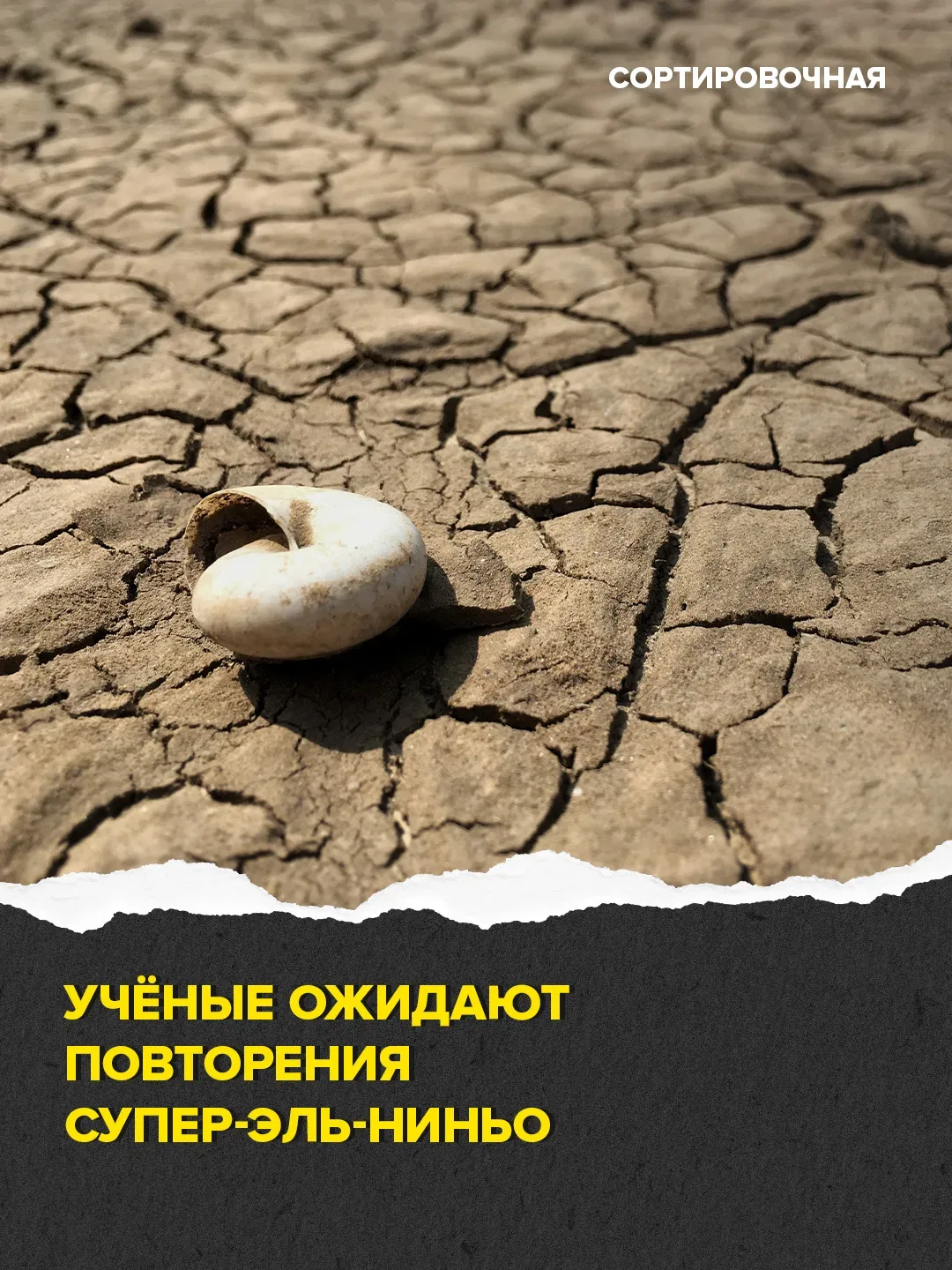 😨 Учёные прогнозируют в середине этого года страшную экологическую катастрофу  Эль-Ниньо — природное