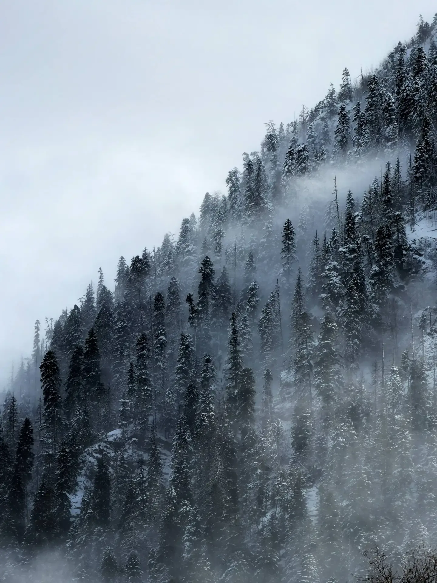 ❄️ Зима не хочет уходить из Домбая...  📸  Фото: dusiad_travel  • Наша группа ВК • Наш канал в TG • Л