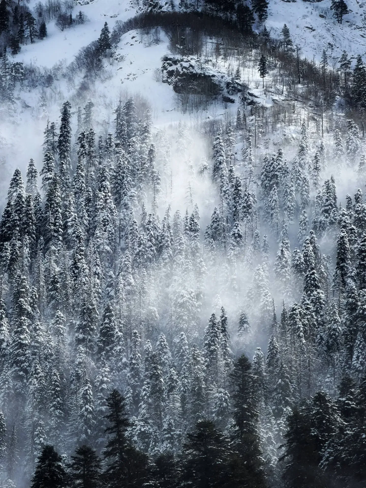 ❄️ Зима не хочет уходить из Домбая...  📸  Фото: dusiad_travel  • Наша группа ВК • Наш канал в TG • Л