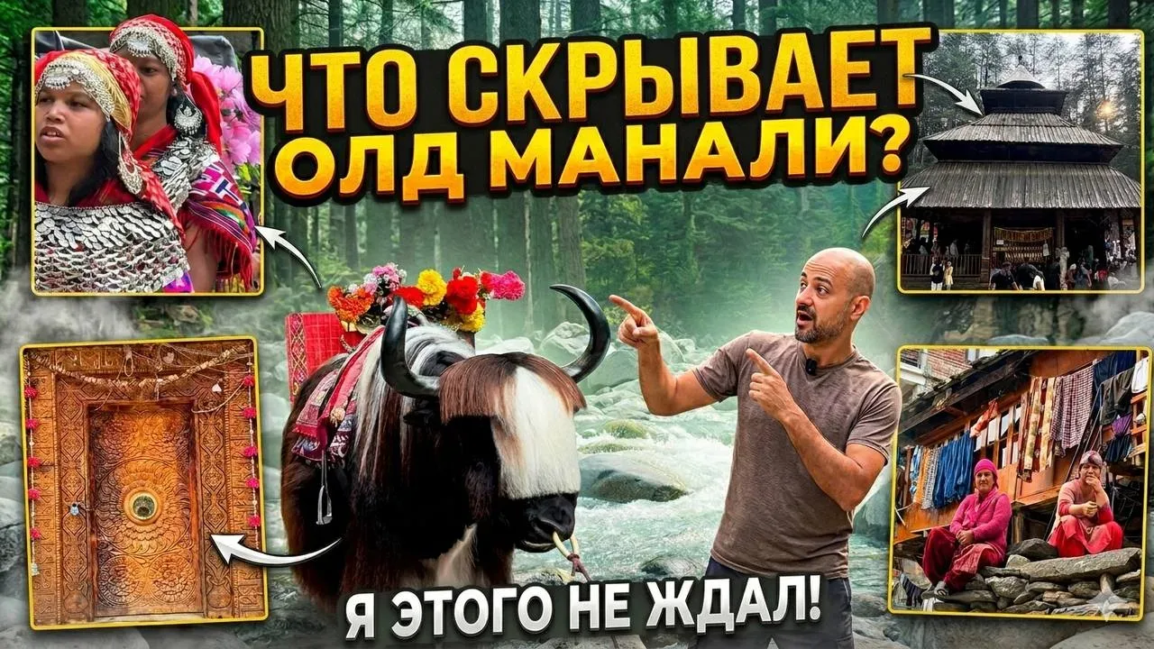 Пока я давлюсь вегетарианской курицей в городе Ришикеш, вот вам залитые на видео хостинги видео о по
