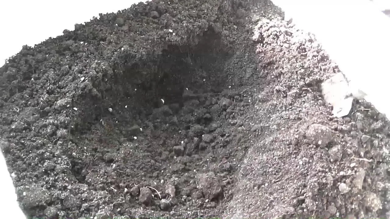 Видео