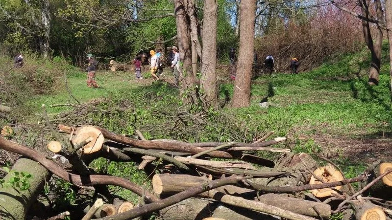 Полсотни студентов из Северной столицы приехали в Выборг, чтобы безвозмездно помочь Монрепо  Волонтё