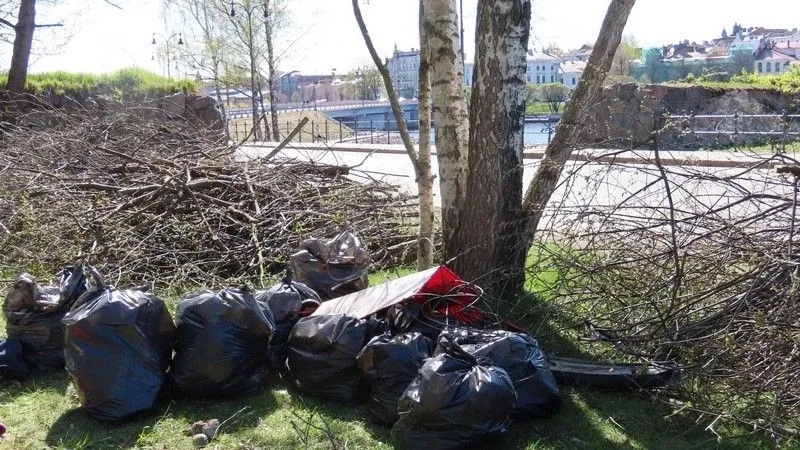 Полсотни студентов из Северной столицы приехали в Выборг, чтобы безвозмездно помочь Монрепо  Волонтё
