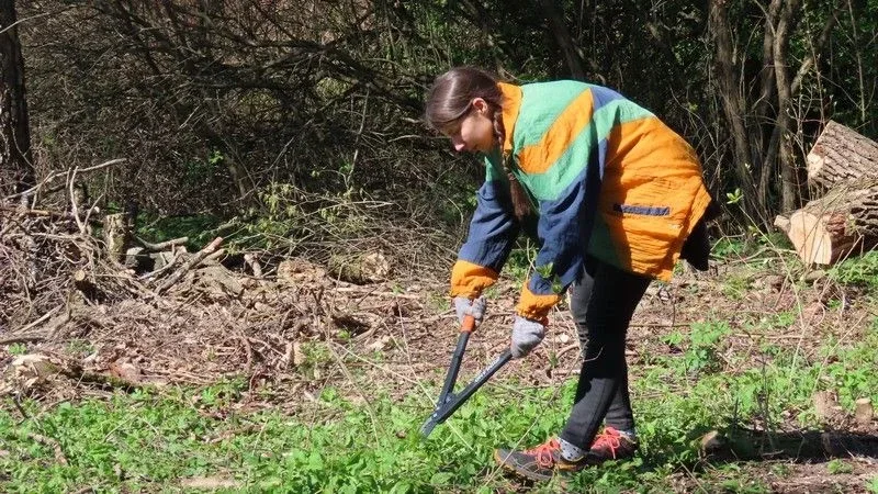 Полсотни студентов из Северной столицы приехали в Выборг, чтобы безвозмездно помочь Монрепо  Волонтё
