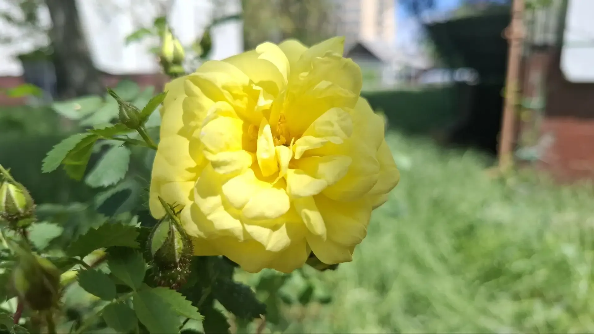 Сегодня четверг, 14 мая.  🎉Праздники сегодня: • День фрилансера в России • День осведомлённости об а