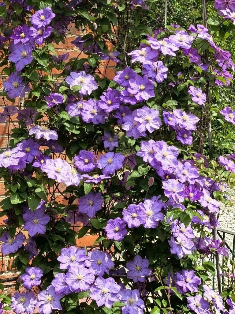 ☀️Доброе утро, дорогие подписчики!  🌺За окном — четверг, середина недели уже позади. Давайте проведё