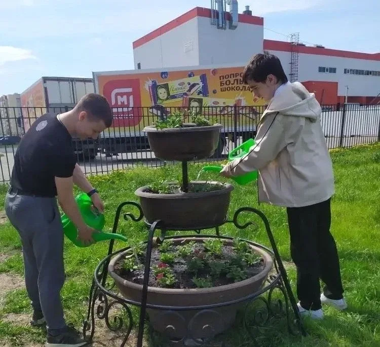 Парк 4-го микрорайона в Заозерном украсили клумбы с петуниями В Кургане продолжается благоустройство