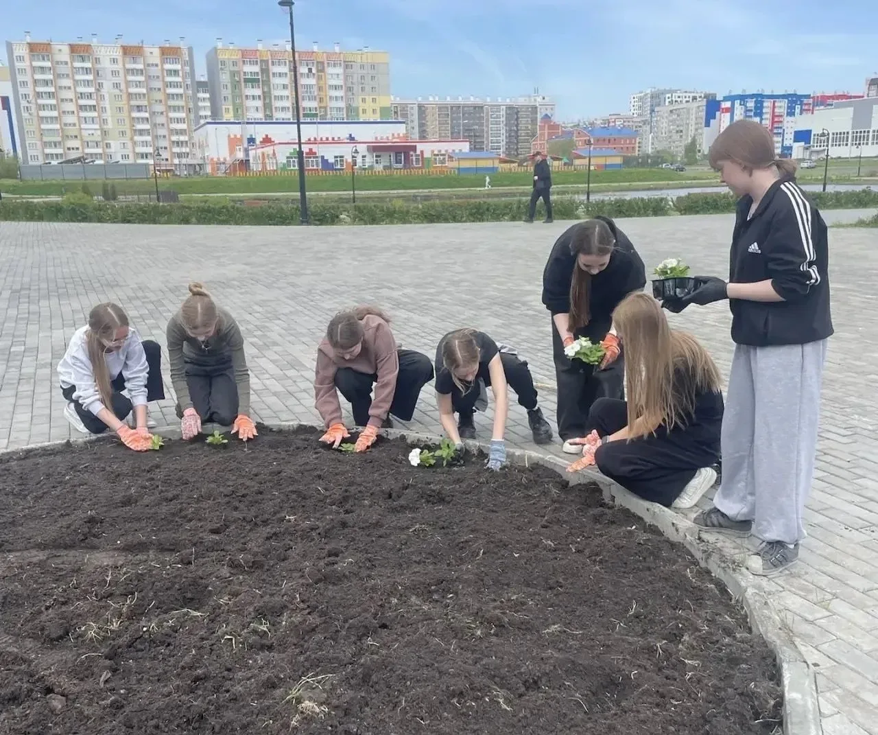 Парк 4-го микрорайона в Заозерном украсили клумбы с петуниями В Кургане продолжается благоустройство