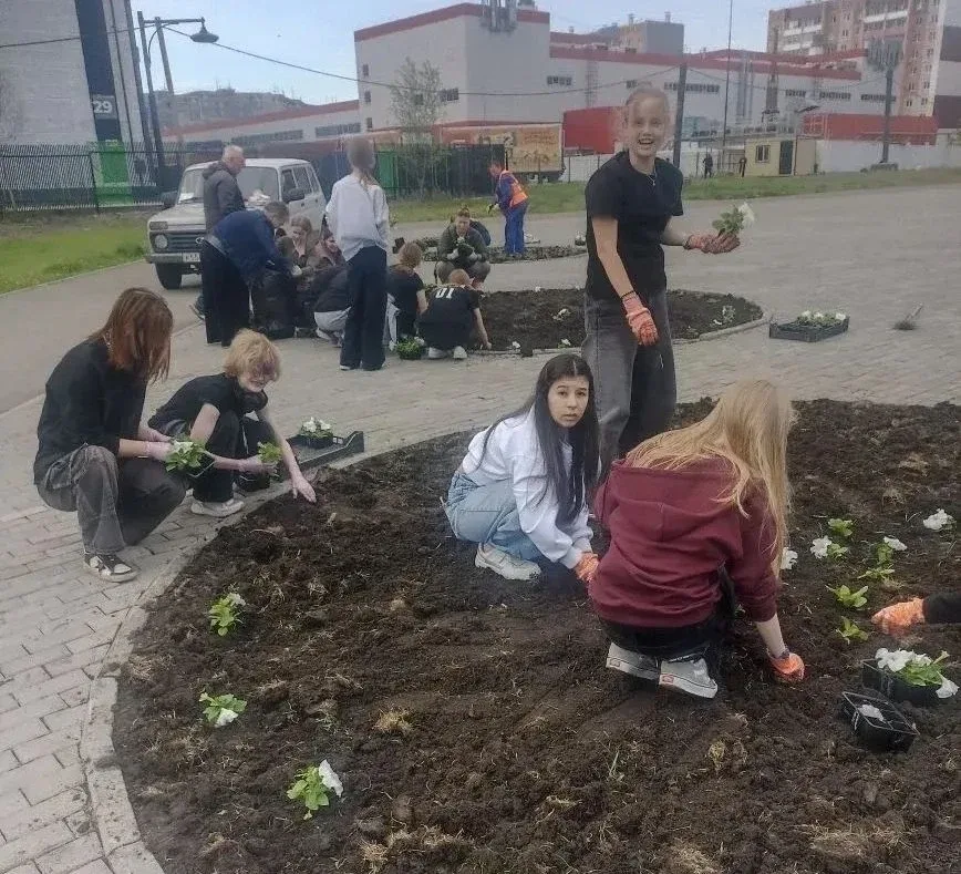 Парк 4-го микрорайона в Заозерном украсили клумбы с петуниями В Кургане продолжается благоустройство