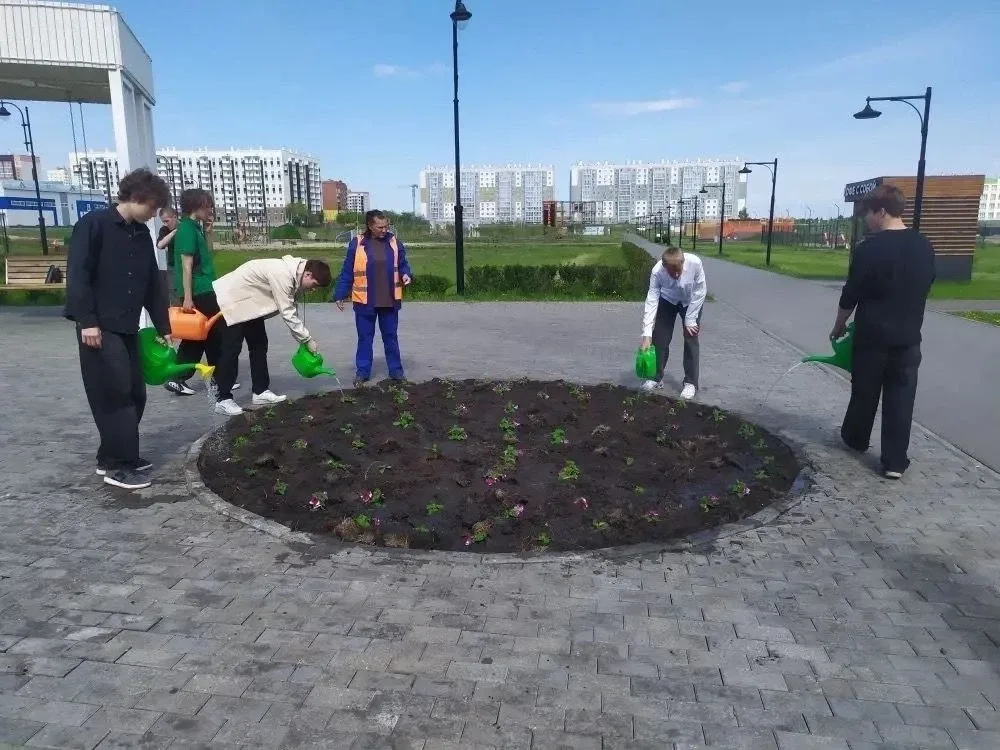 Парк 4-го микрорайона в Заозерном украсили клумбы с петуниями В Кургане продолжается благоустройство