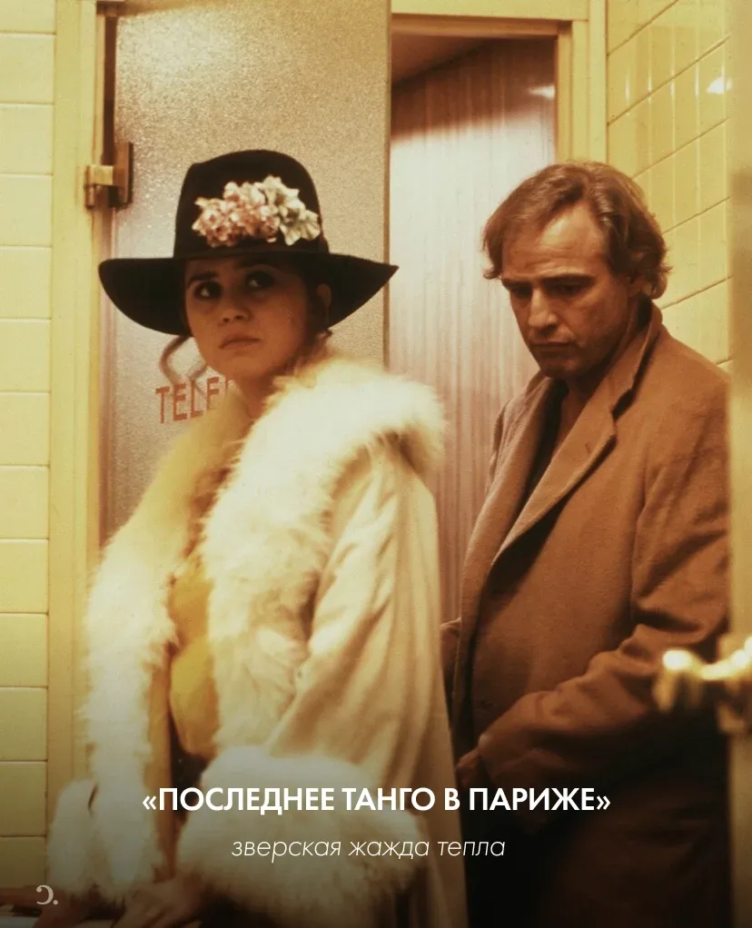 О чем снимал Бертолуччи?  Вспомнили пять лент режиссера, связанных одним и тем же лейтмотивом: побег