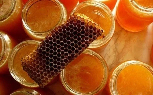 ПРОПОЛИС ОТ СОТНИ БОЛЕЗНЕЙ  🍯 Сочетание прополиса и молока дает особый эффект: помимо лечения просту