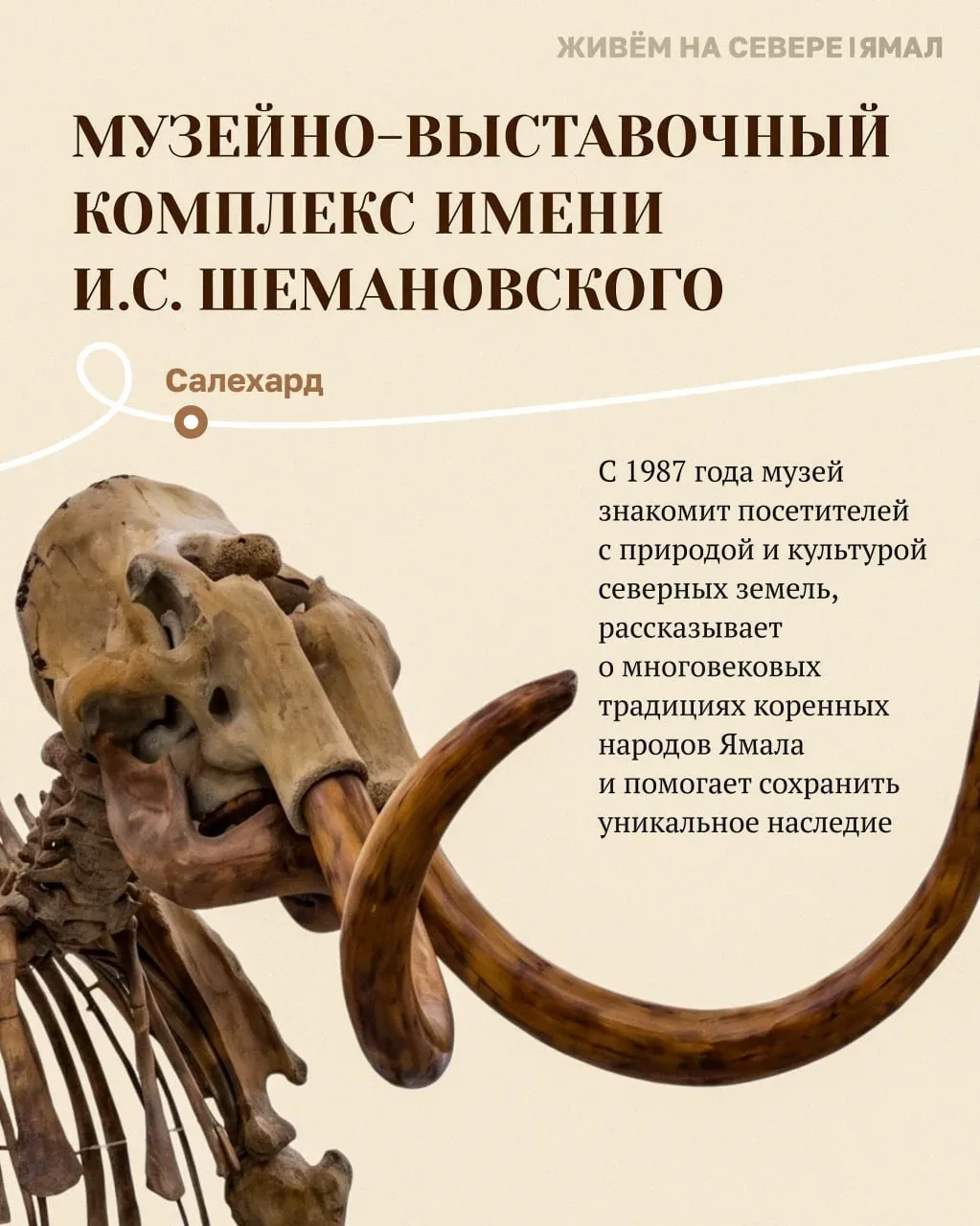 Окультуриваемся на Ямале!  В карточках делимся подборкой музеев, которые обязательно стоит посетить,