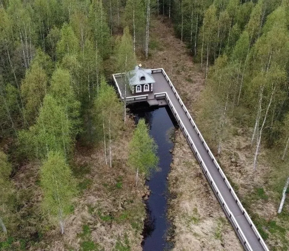 Невероятно, но именно здесь берет начало река Волга...   В деревне Волговерховье, что в Осташковском