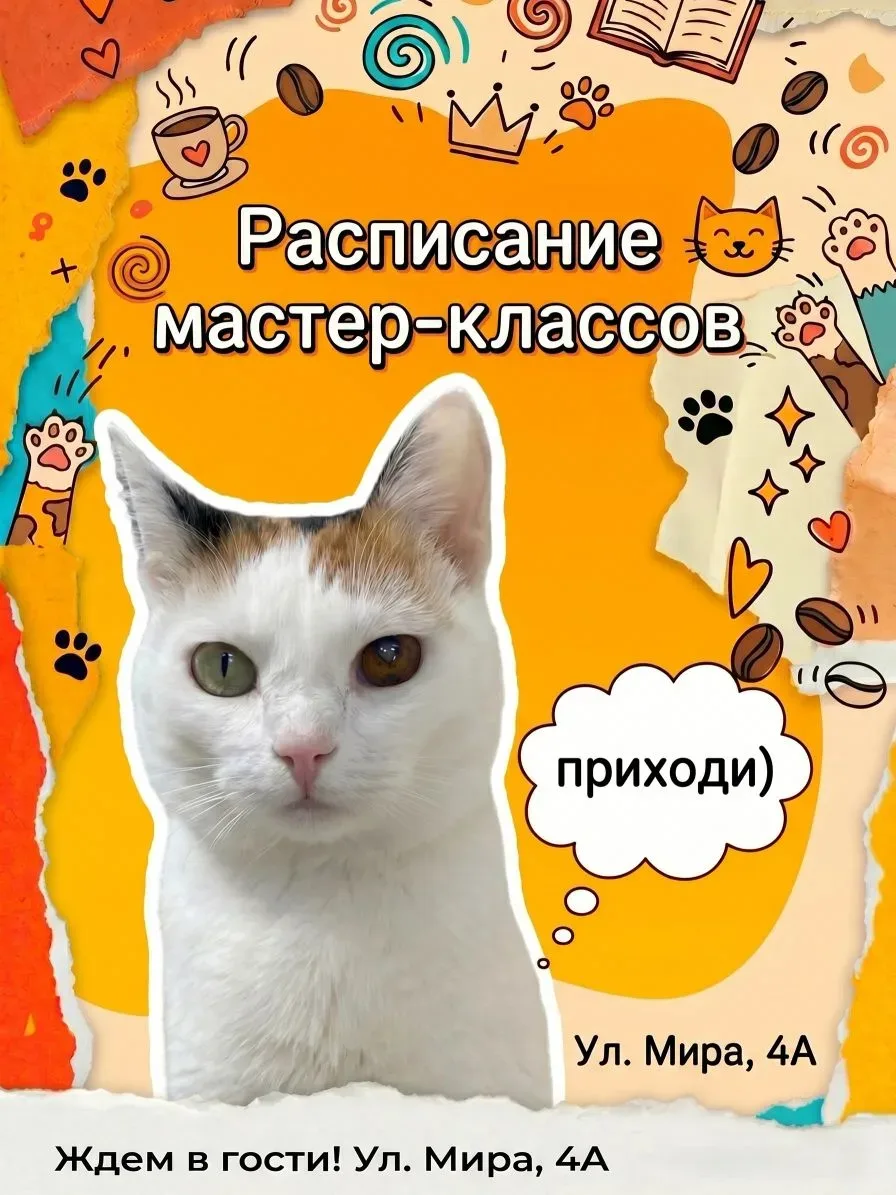 🎨 Рисуем с котиками! Мастер-классы по рисованию в Котокафе «Тёплый кот»  ☕🐾   Художник-педагог Лела 