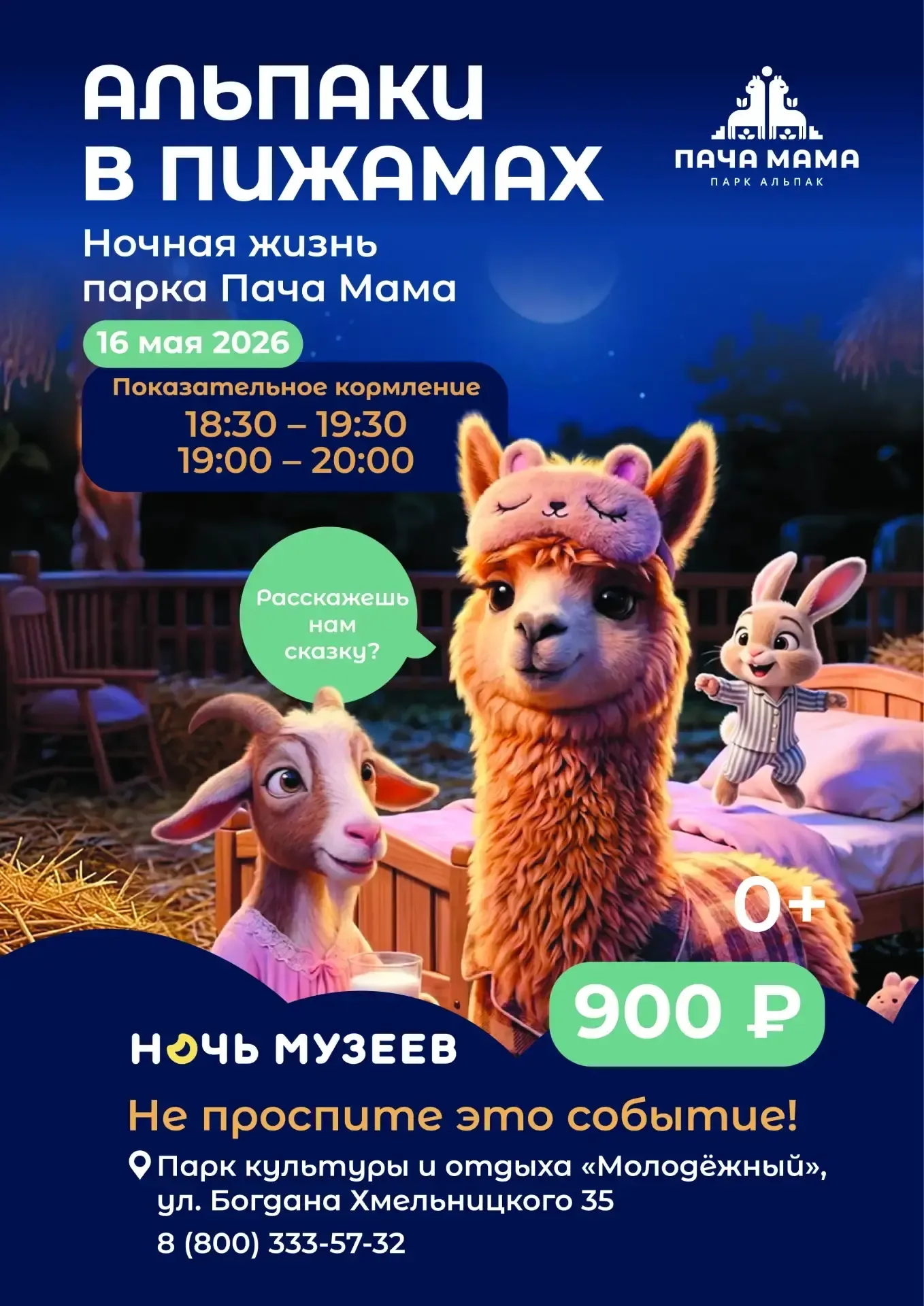 Чем занимаются альпаки после закрытия парка?   Днём «Пача Мама» — солнце, детский смех и мягкая шерс