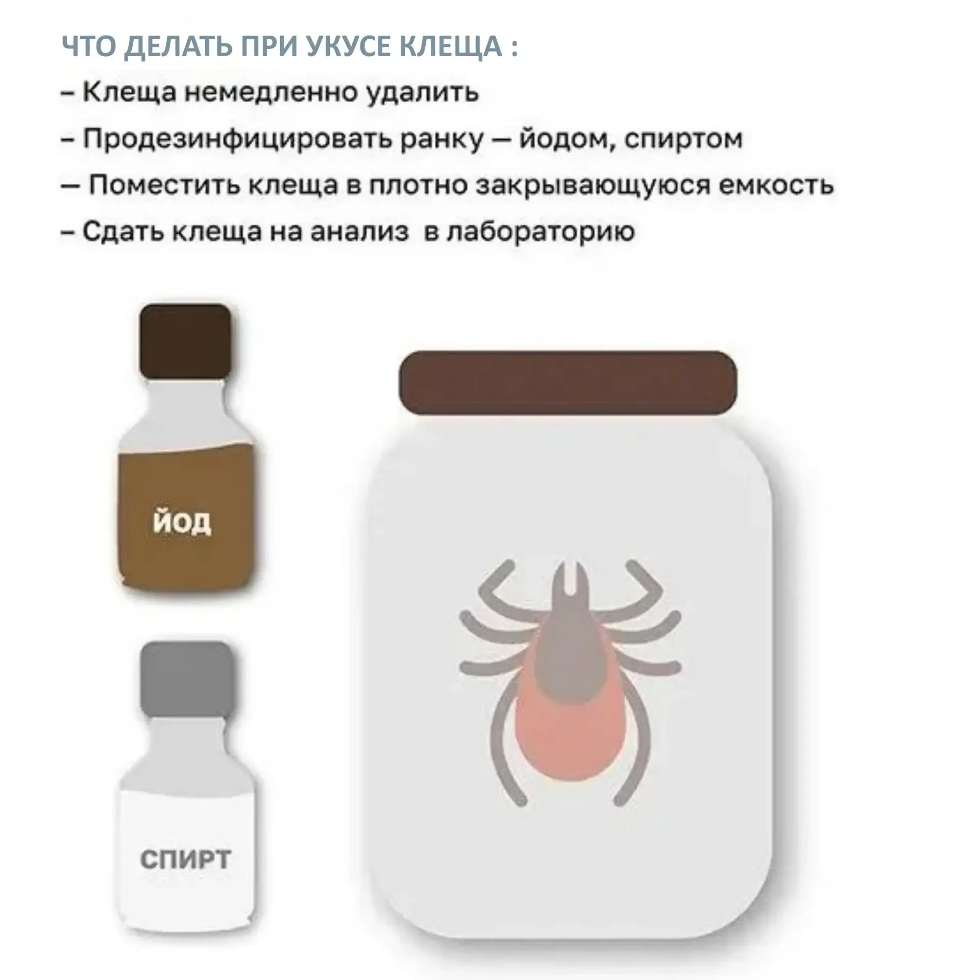 Добрый вечер, друзья!   Весна в этом году ранняя, теплая - тянет на природу. Как и многие из вас, лю