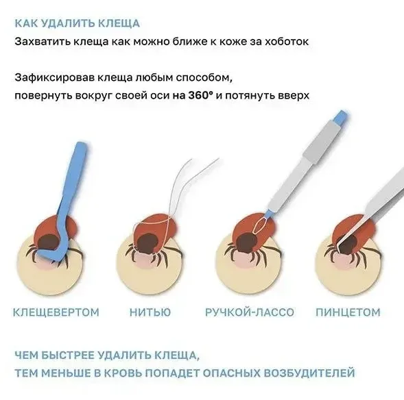 Добрый вечер, друзья!   Весна в этом году ранняя, теплая - тянет на природу. Как и многие из вас, лю