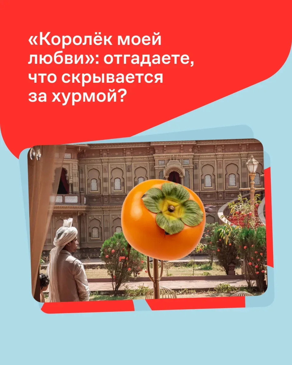Что скрывается за хурмой? 👀  На картинках — кадры из новой комедии «Королёк моей любви», но…часть 