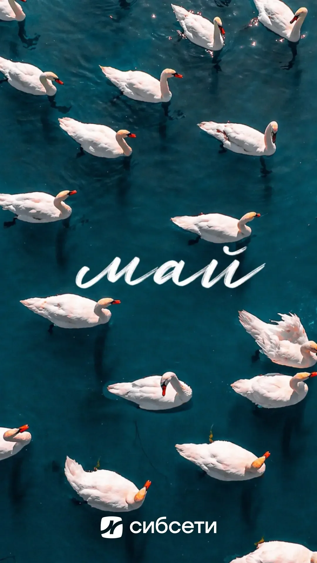 Первое число – как маленький праздник. Время обновить экран телефона и компьютера!  В мае хочется яр