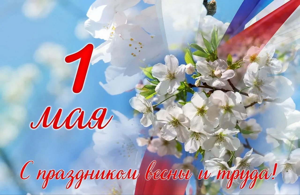 🕊️ Региональный Минобрнауки поздравляет амурчан с праздником Весны и Труда  Празднику, который приду