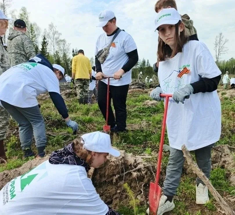 🌿🌿Сад памяти   Юные воспитанники и сотрудники Киржачского комплексного центра в эти дни отправились 