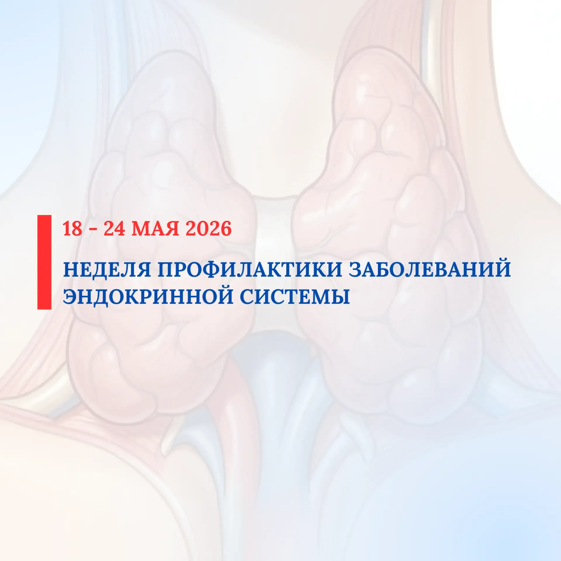 С 18 по 24 мая 2026 проводится Неделя профилактики заболеваний эндокринной системы (в честь Всемирно