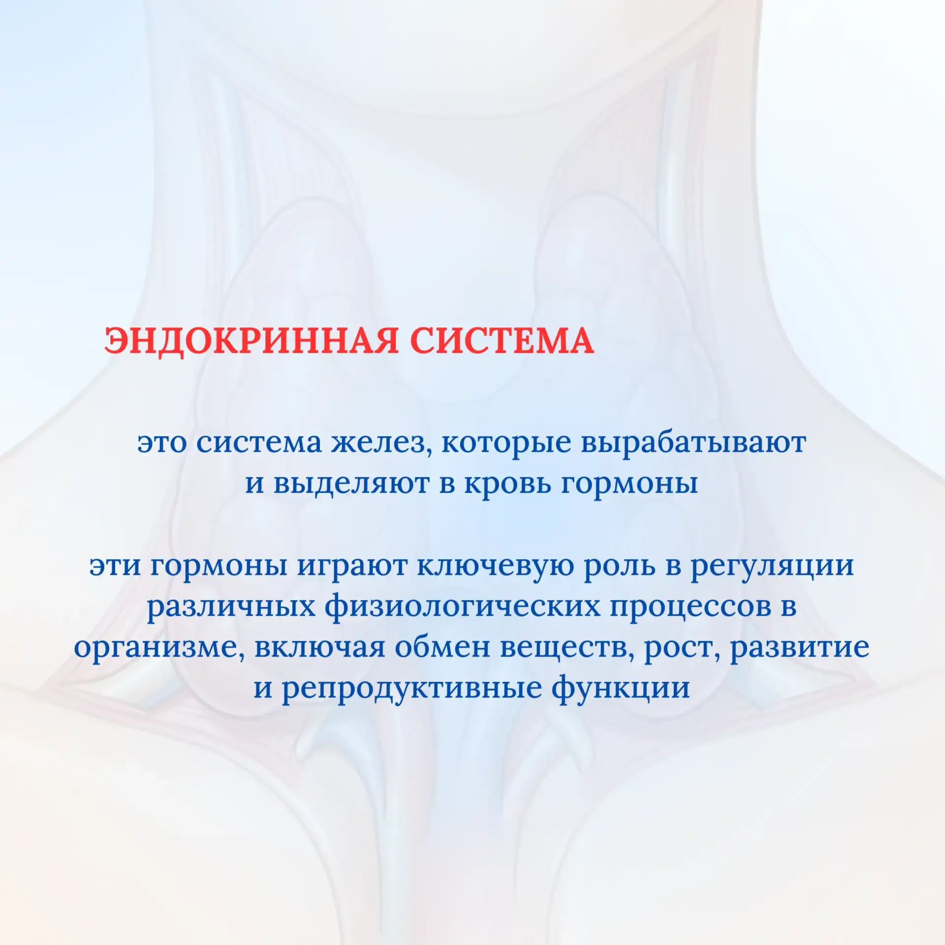 С 18 по 24 мая 2026 проводится Неделя профилактики заболеваний эндокринной системы (в честь Всемирно