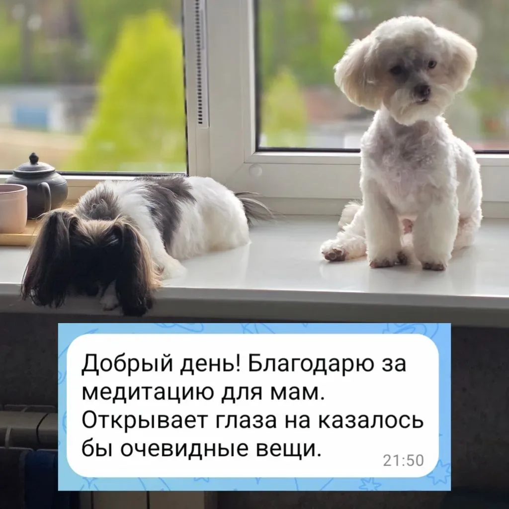 Кстати, да, в подарочную медитацию включены кое-какие нюансы того, о чем мы, мамы, забываем или счит