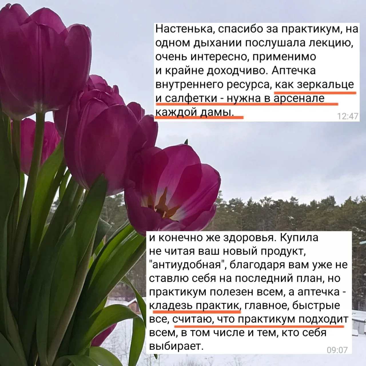 КАК ЗЕРКАЛЬЦЕ И САЛФЕТКА В ДАМСКОЙ СУМОЧКЕ, говорят те, кто уже опробовали.  Последнее напоминание. 