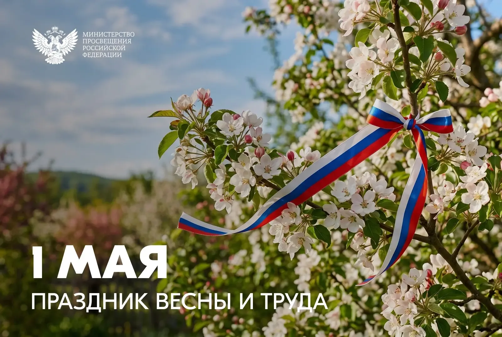 Дорогие друзья! Поздравляю вас с Праздником Весны и Труда! Этот день объединяет всех, кто своим ежед