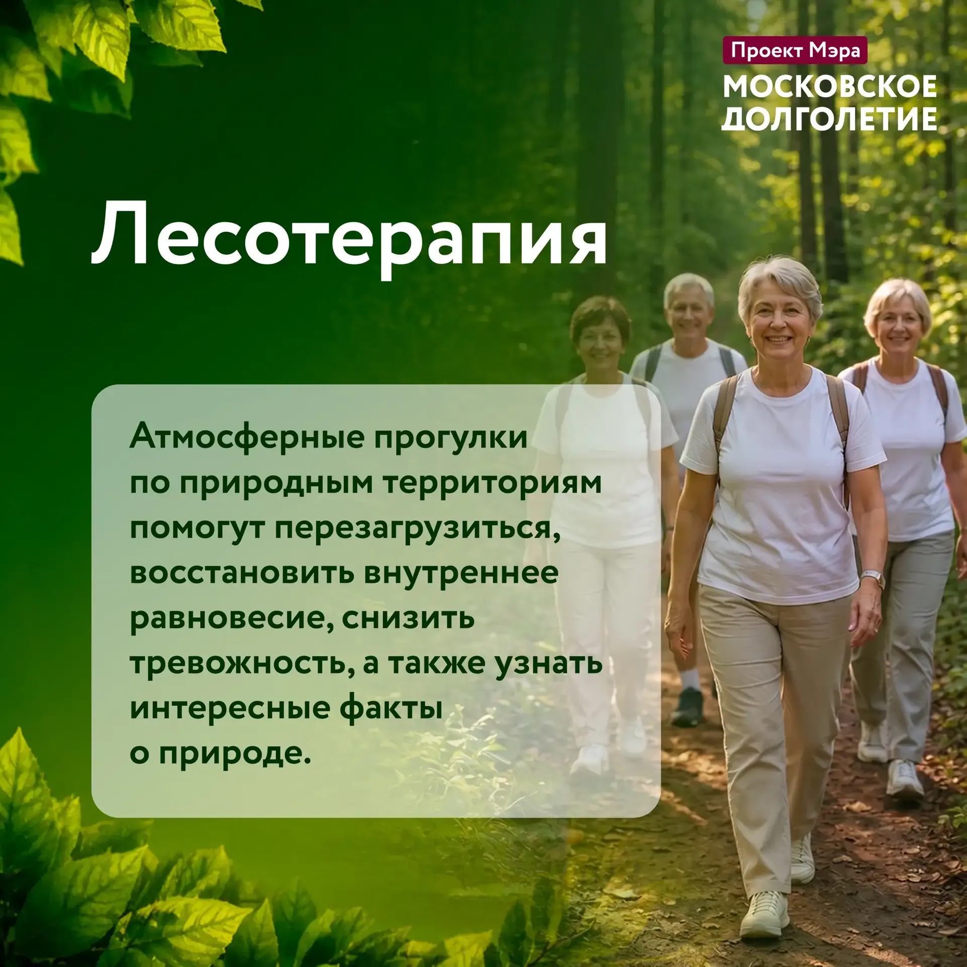 Путешествия, спорт и расслабление на природе: в «Московском долголетии» стартовал летний сезон ☀️  С